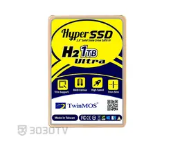 حافظه اینترنال SSD ظرفیت 1 ترابایت TwinMOS مدل H2 Ultra