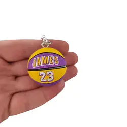 جاکلیدی توپ بسکتبال James 23