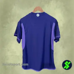 لباس پلیری دوم سه ستاره آرژانتین 2023 - پیراهن تک