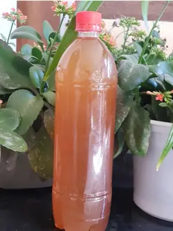 سرکه انگبین خانگی