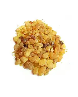 کندر خوراکی