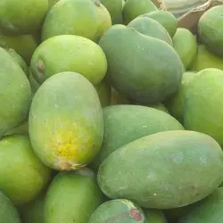 انبه سبز و لیمو  (رودان و میناب)