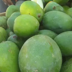 انبه سبز و لیمو  (رودان و میناب)