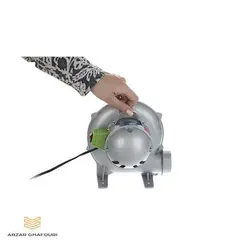 دمنده برقی 2 اینچ رابین