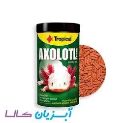 غذا استیک اکسولوتل ترویپکال