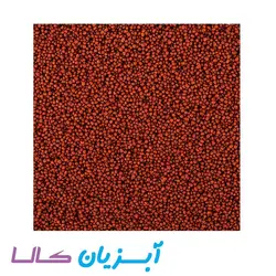 غذا گرانولی فایتر تروپیکال