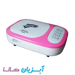 پمپ هوا شارژی دو خروجی بویو  S-1801
