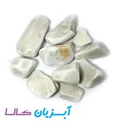 شن درشت آکواریوم سنگاپوری سفید