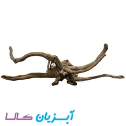 ریشه کد 100