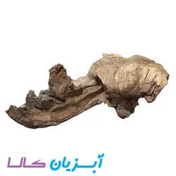 کنده آکواریوم کد 104