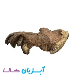کنده آکواریوم کد 104