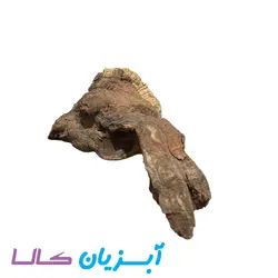 کنده آکواریوم کد 104