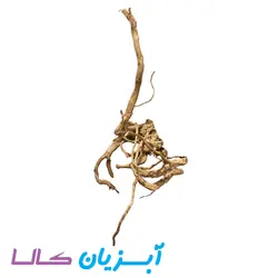 ریشه آکواریوم کد 105