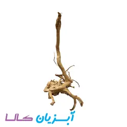 ریشه آکواریوم کد 105