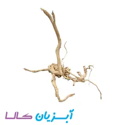 ریشه آکواریوم کد 105