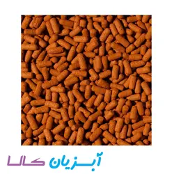 غذا استیک بزرگ سیچلاید و آروانا تروپیکال
