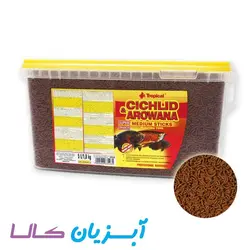 غذا استیک متوسط سیچلاید و آروانا تروپیکال