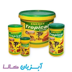 غذا گرانولی تروپیکال انرژی