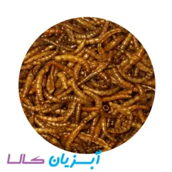 کرم خشک 57 گرمی GOLDEN WORM
