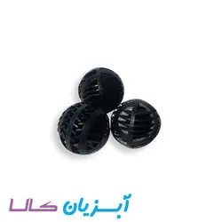 بیوبال بزرگ