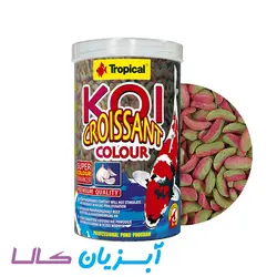 غذا کوی کروسان کالر تروپیکال