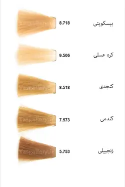 رنگ مو مارال سری فانتزی مدل Fusion