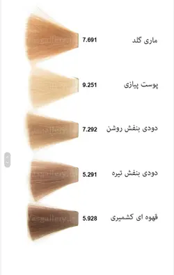 رنگ مو مارال سری فانتزی مدل Fusion