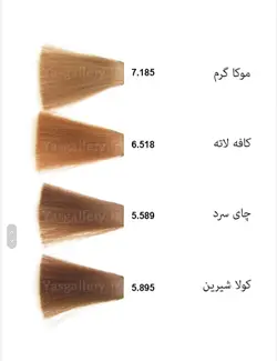 رنگ مو مارال سری فانتزی مدل Fusion