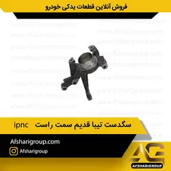 سگدست تیبا قدیم سمت راست ipncکد1247
