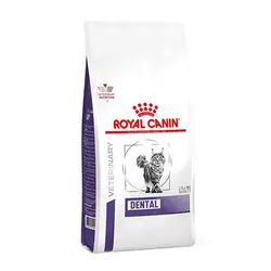 غذای خشک گربه دنتال رویال کنین 1/5 کیلوگرم Royal Canin