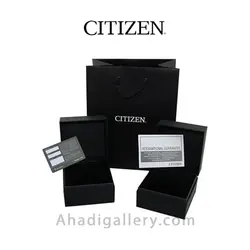 ساعت مچی سیتیزن مدل NH8356-87A