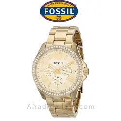 ساعت مچی فسیل مدل AM4482