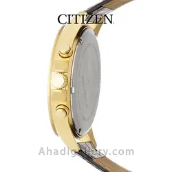 ساعت مچی سیتیزن مدل AN3612-09X