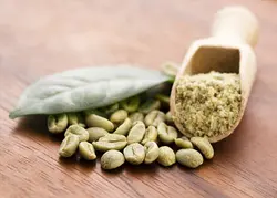 پودر قهوه سبز