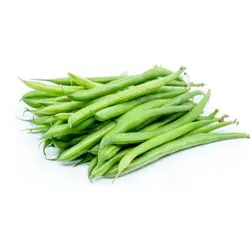 لوبیا سبز درجه یک – 1 کیلوگرم