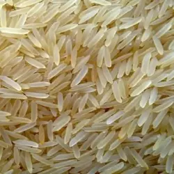 برنج هندی طبیعت - 10 کیلوگرم