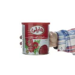 رب گوجه فرنگی هایلی - 800 گرم