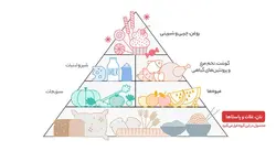 نوشابه گازدار با طعم بلو هاوایی آیسی مانکی - 250 میلی لیتر