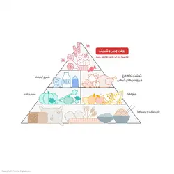 روغن کانولا اویلا - 1.8 گرم