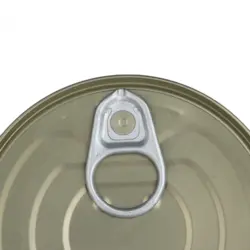 کنسرو ماهی تن دلپذیر مقدار 180 گرم