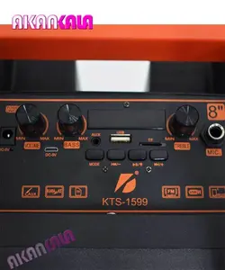 اسپیکر قابل حمل KTS-1599