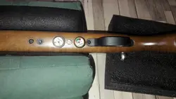 تفنگ پی سی پی آرتمیس ام ۳۰ | Artemis M30 PCP Air Rifle