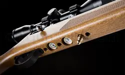 تفنگ پی سی پی آرتمیس ام ۳۰ | Artemis M30 PCP Air Rifle