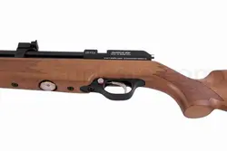 تفنگ پی سی پی آرتمیس بوچی وان | S.co Boochi1 PCP Air Rifle