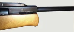 تفنگ بادی نیترو پیستون البرز ۱۶۰۰ | S.co ALBORZ 1600 Gas-Piston Air Rifle