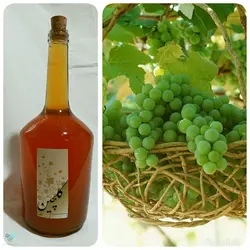 آبغوره کوهی