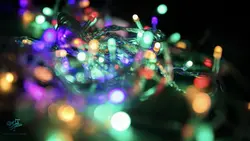 ریسه لامپ LED سوزنی رنگی