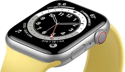 ساعت هوشمند اپل Apple Watch SEساعت هوشمند اپل Apple Watch SE -