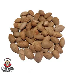 دانه سویا خوراکی 450 گرمی