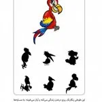 سایه من کو؟